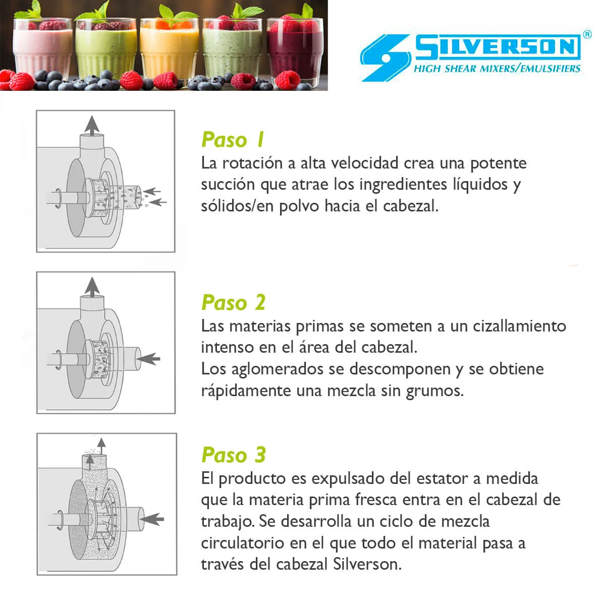 FABRICACIÓN DE BATIDOS Y BEBIDAS LÁCTEAS SABORIZADAS