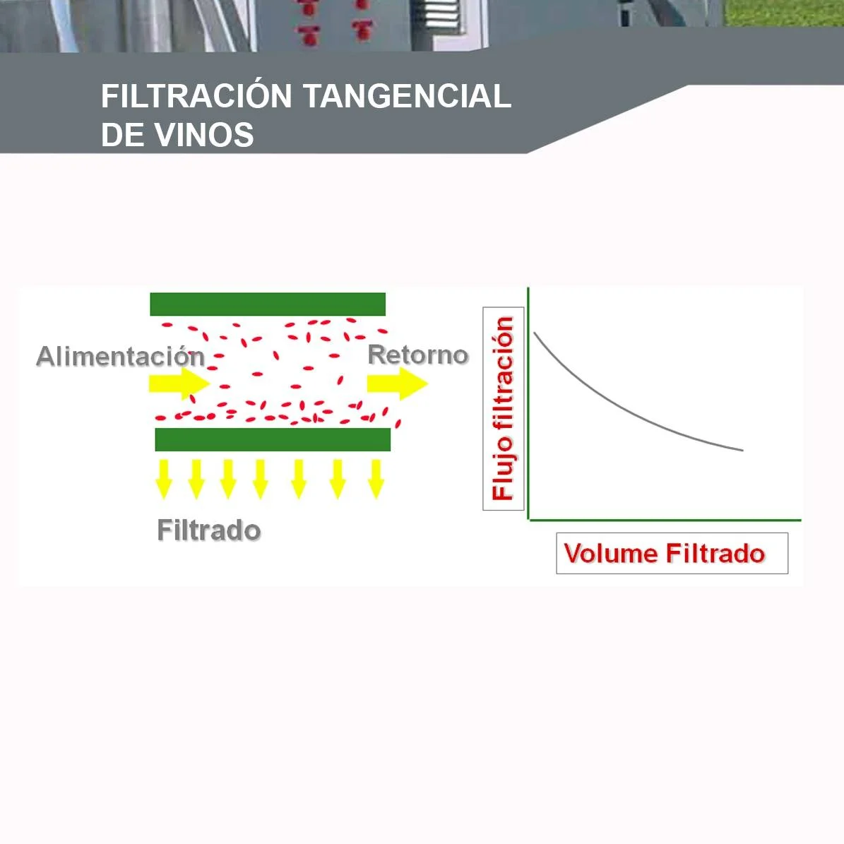SERVICIO DE FILTRACIÓN TANGENCIAL DE BORRAS/ MOSTOS