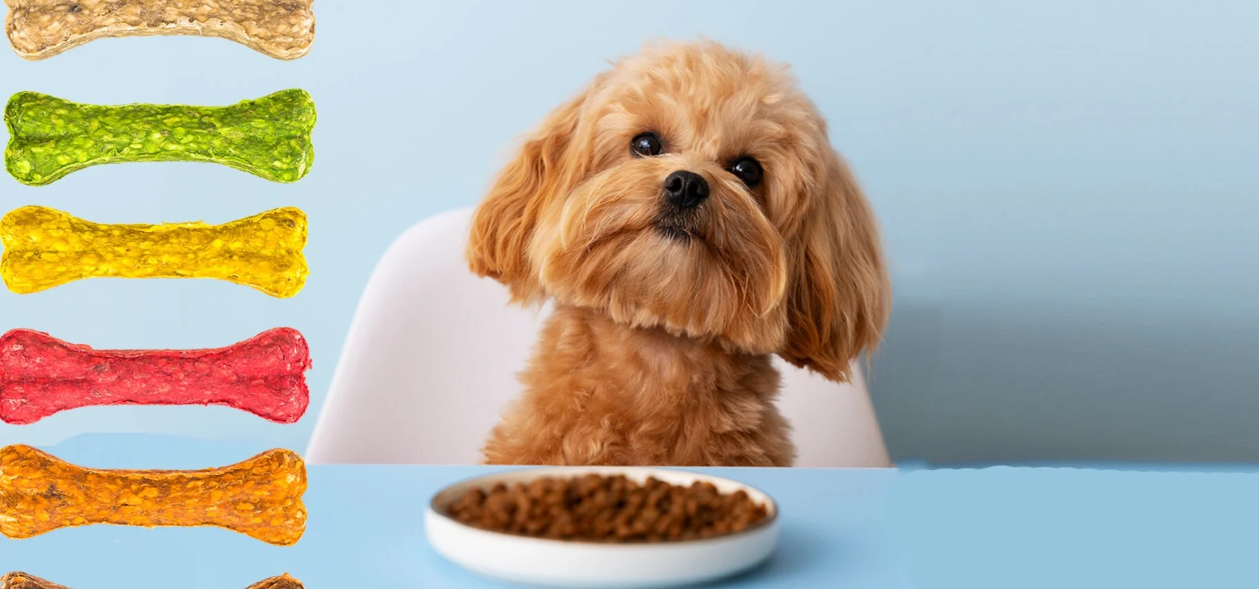 Colores naturales para alimentos de mascotas