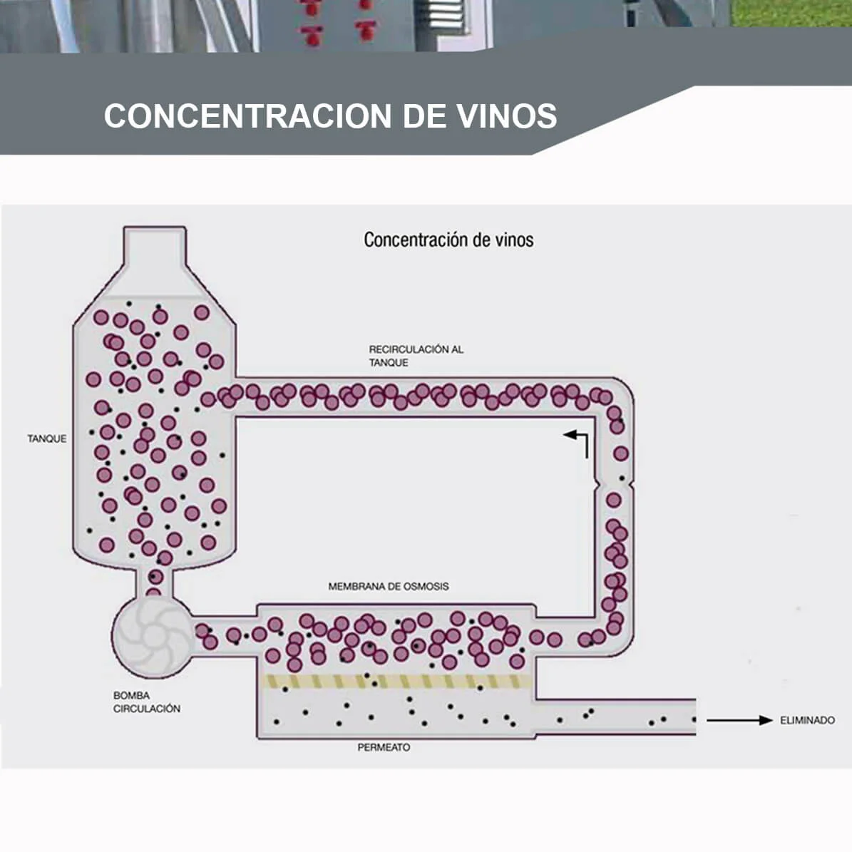 SERVICIO DE CONCENTRACIÓN DE VINO