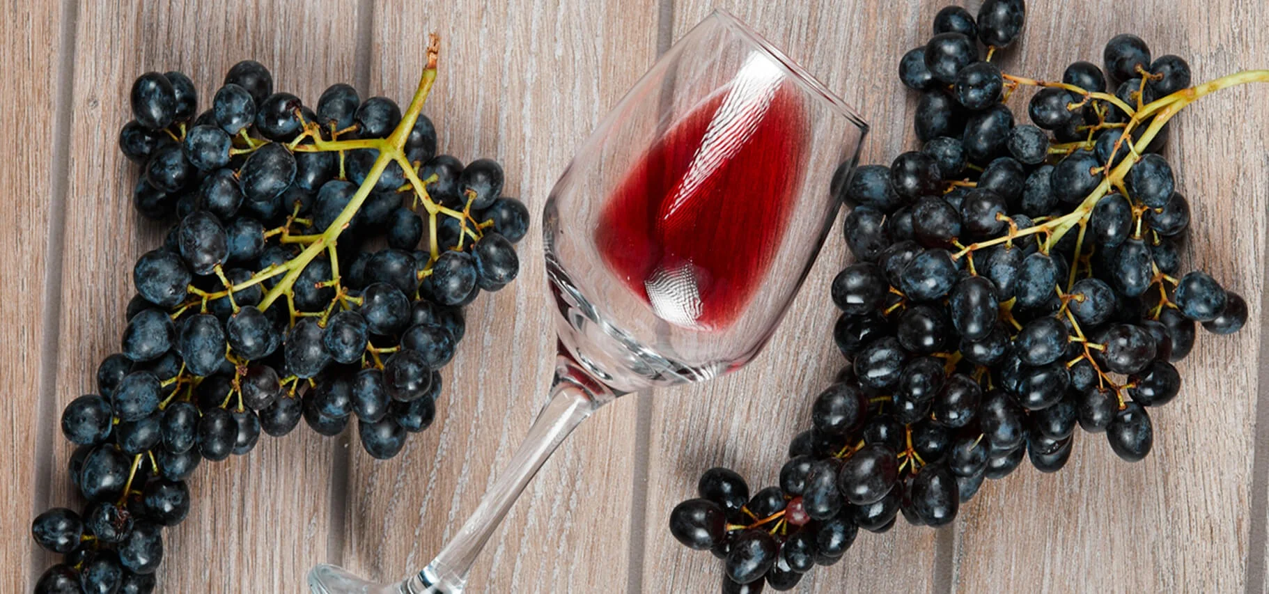 🍇Clarificación del mosto: clave para vinos de mayor calidad