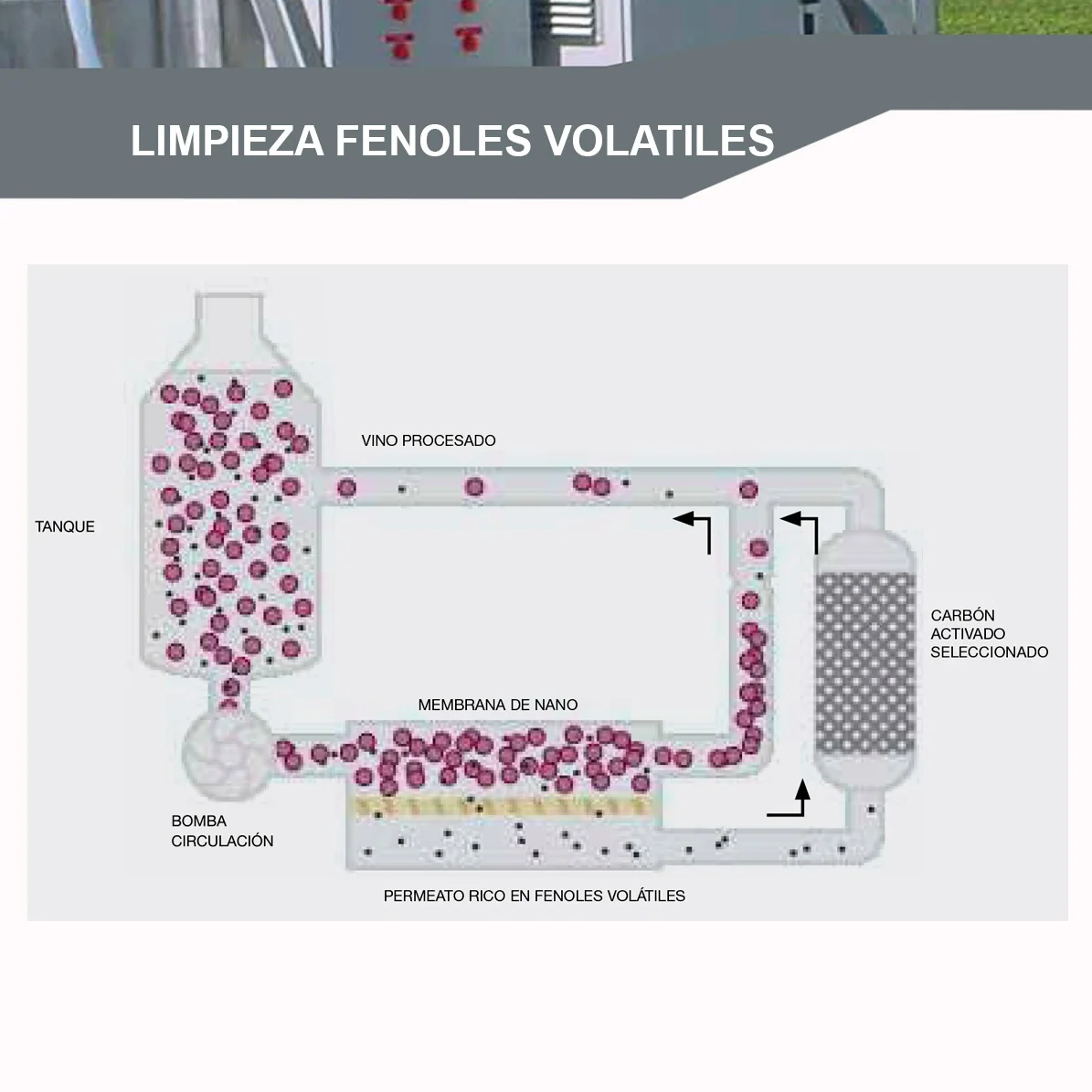 SERVICIO DE LIMPIEZA DE FENOLES VOLÁTILES