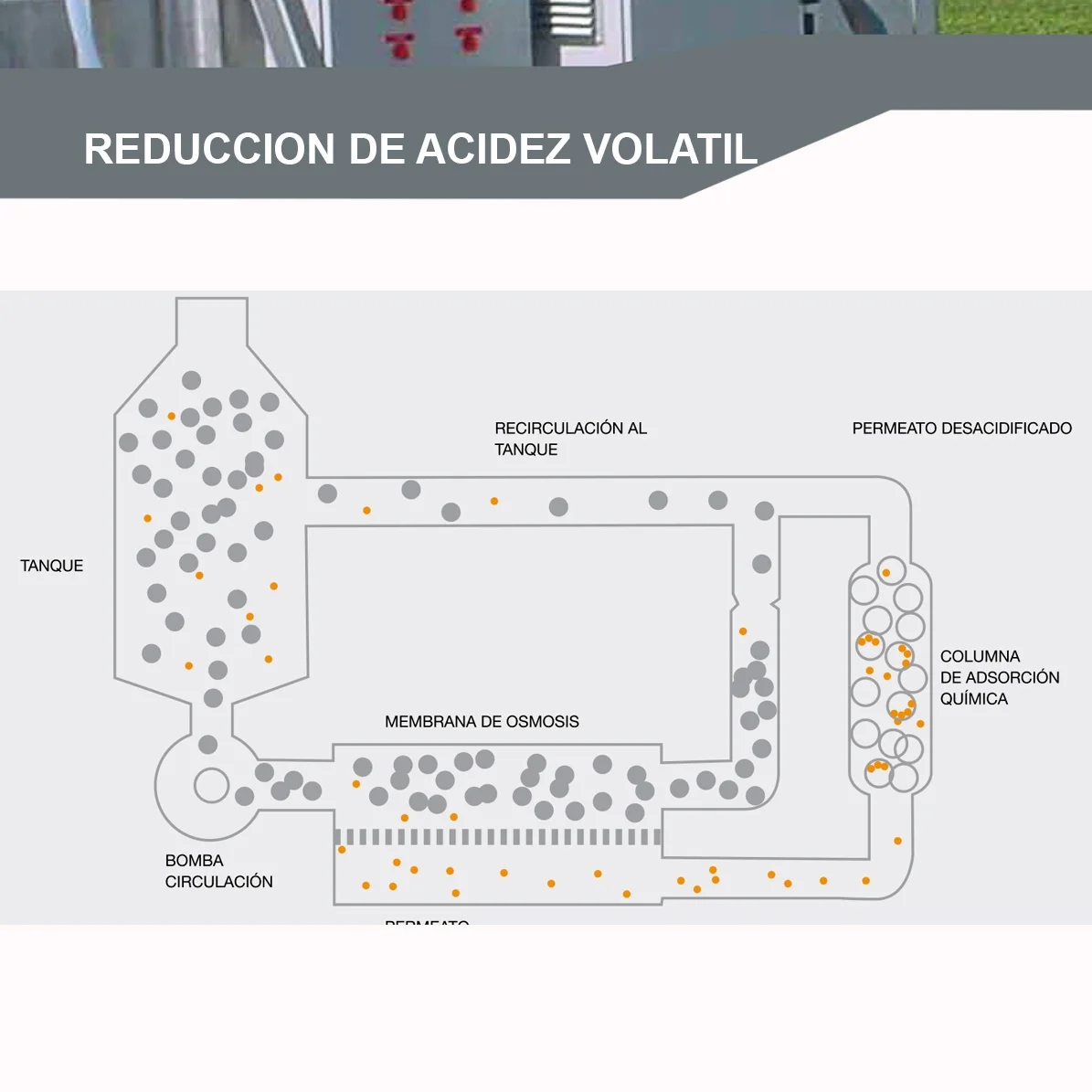 SERVICIO DE REDUCCIÓN DE ACIDEZ VOLÁTIL (AV)