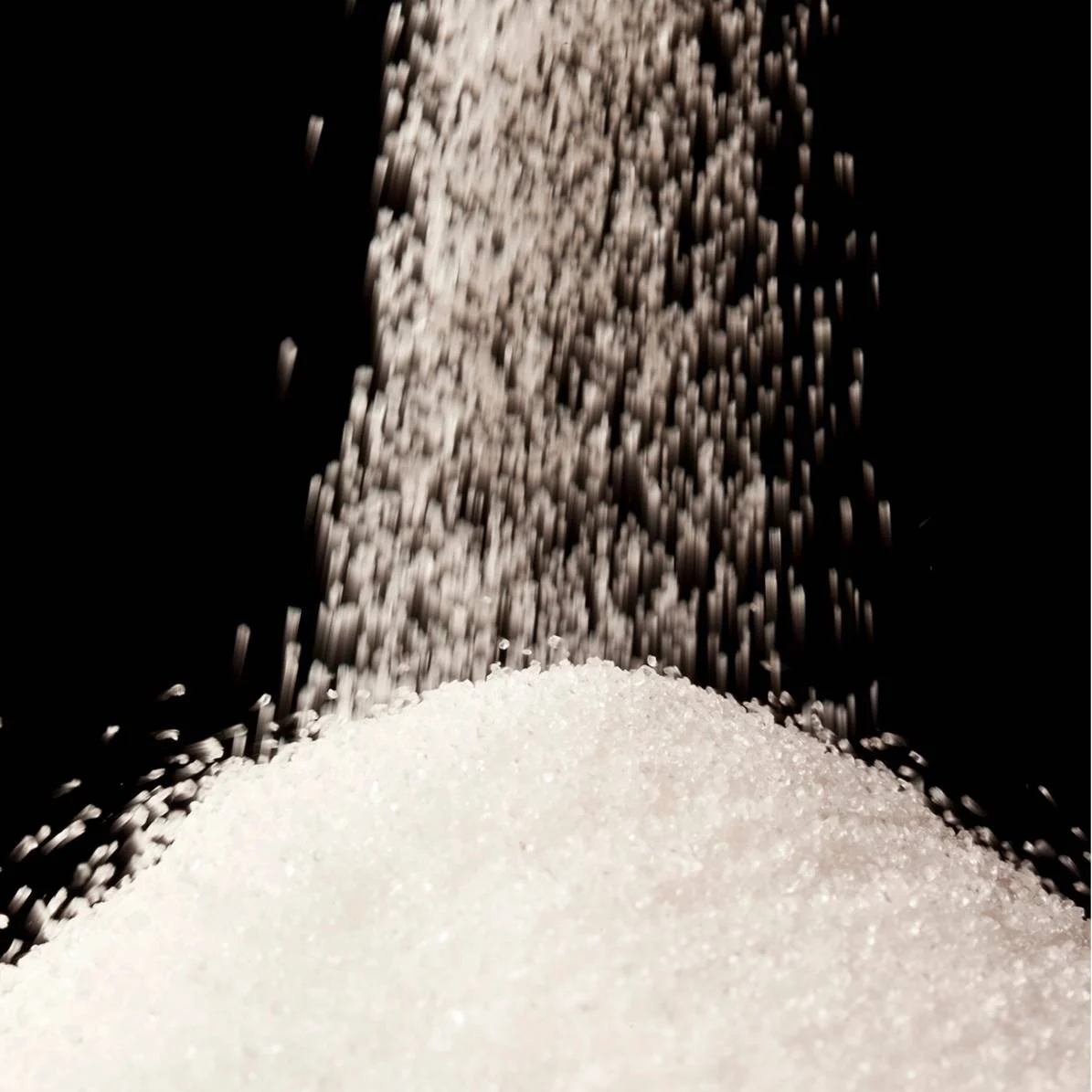 NUTRIENTE VITAFERMENT® PH LAMOTHE ABIET (25 KG)