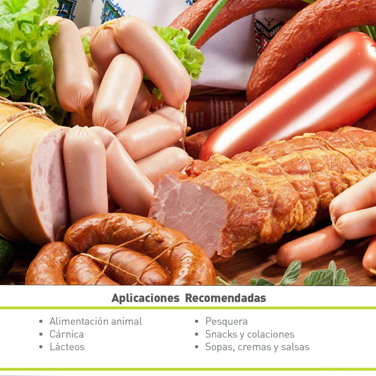 5 RIBONUCLEÓTIDO DE SODIO (10 KG)