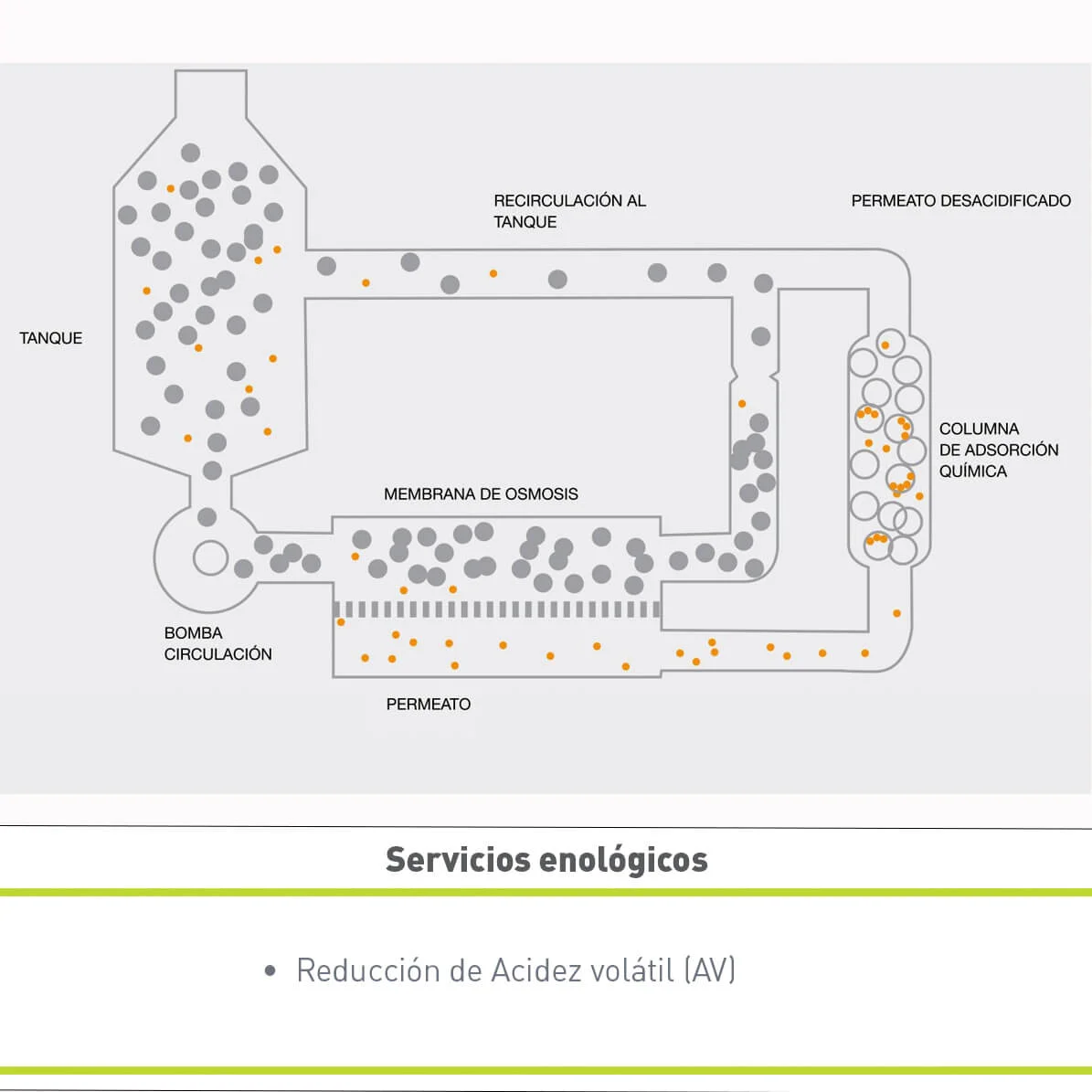 SERVICIO DE REDUCCIÓN DE ACIDEZ VOLÁTIL (AV)