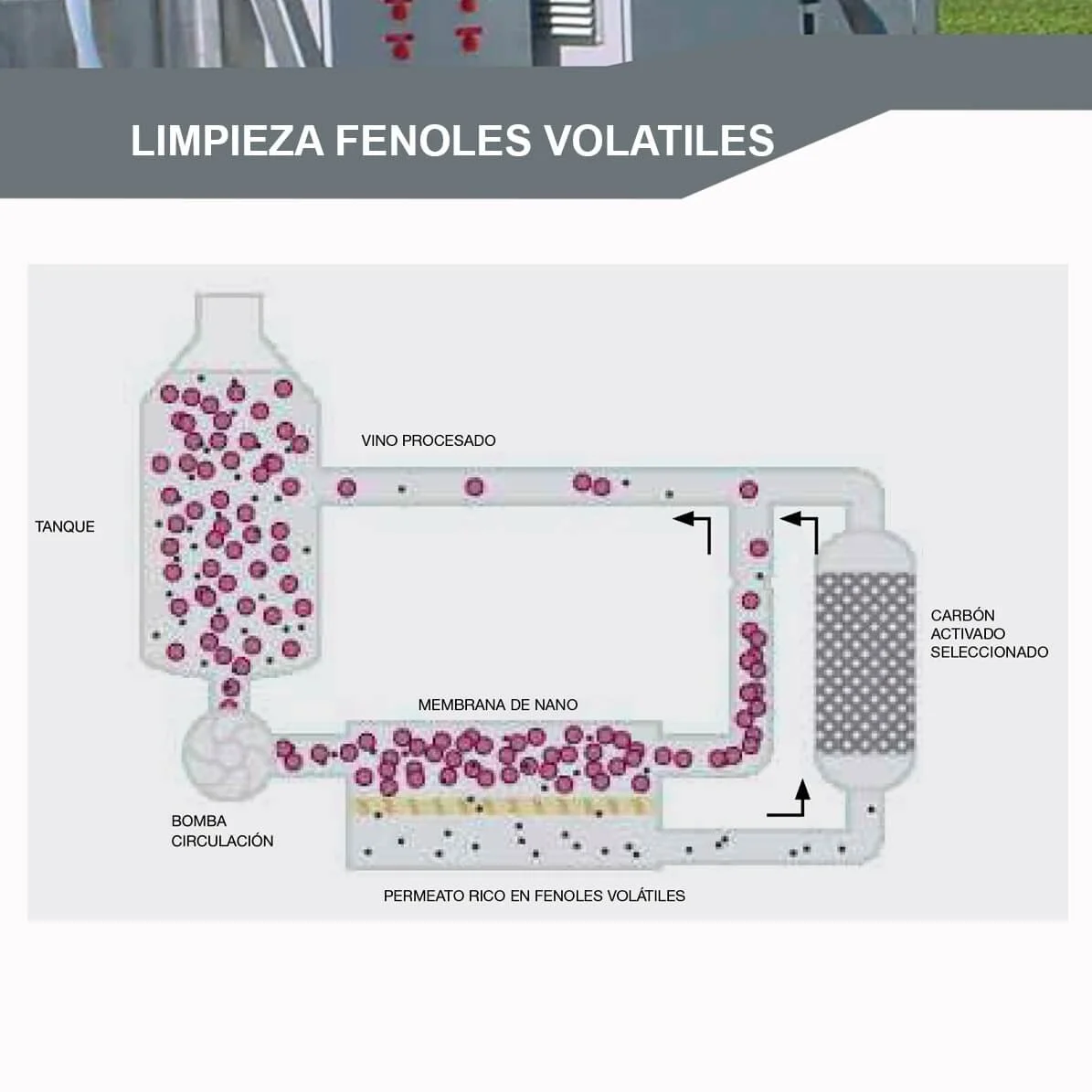 SERVICIO DE LIMPIEZA DE FENOLES VOLÁTILES