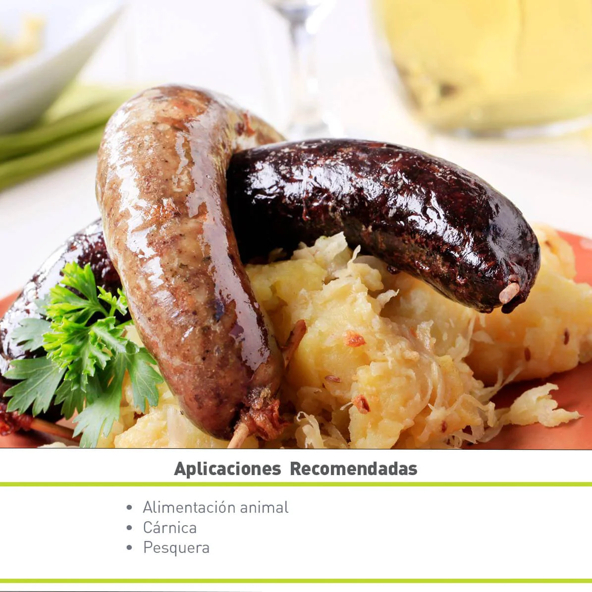 PROTEÍNA DE CERDO HIDROLIZADA VEPRO 95 PHF (25 KG)