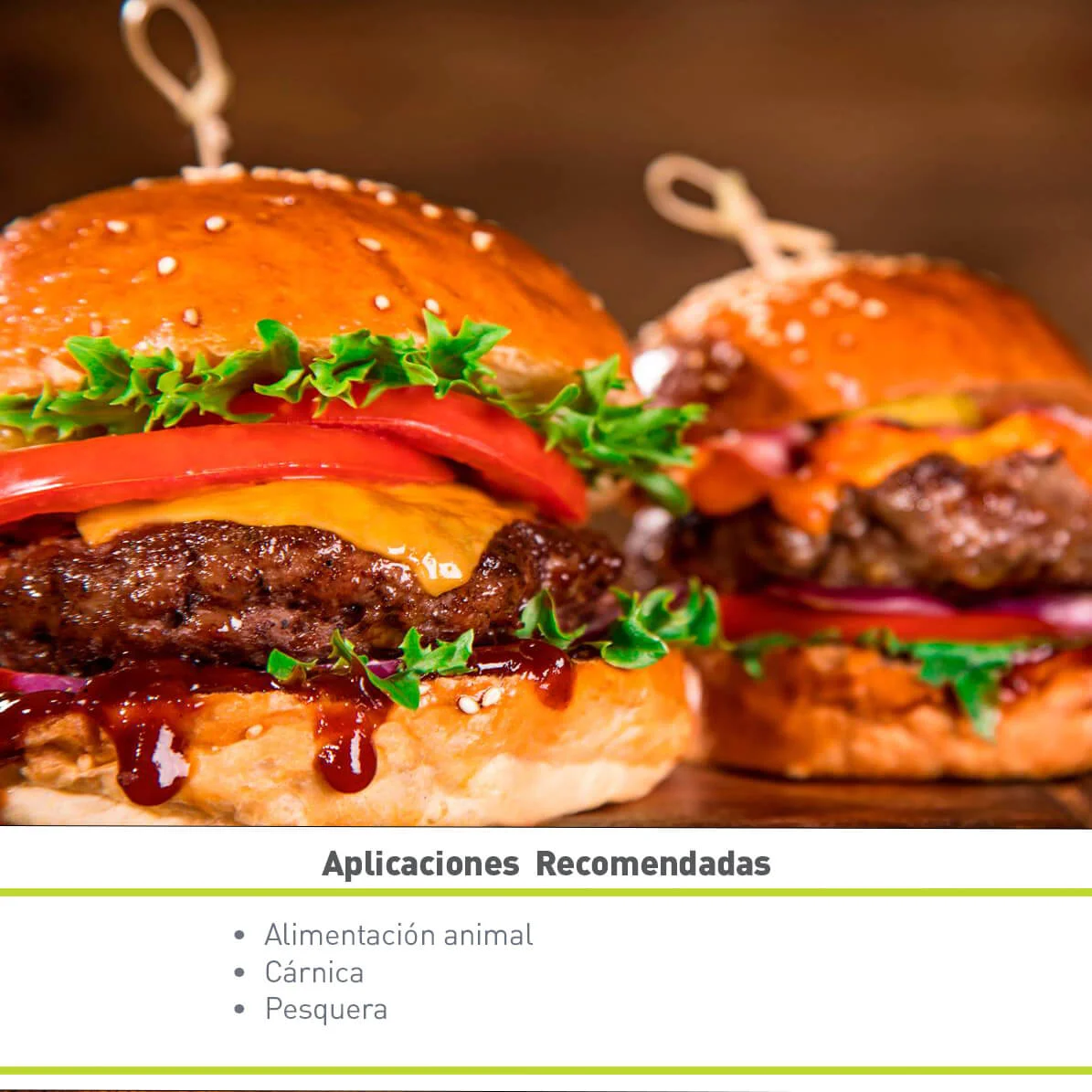 PROTEÍNA DE CERDO HIDROLIZADA GLOBINA 95-HV (25 KG)