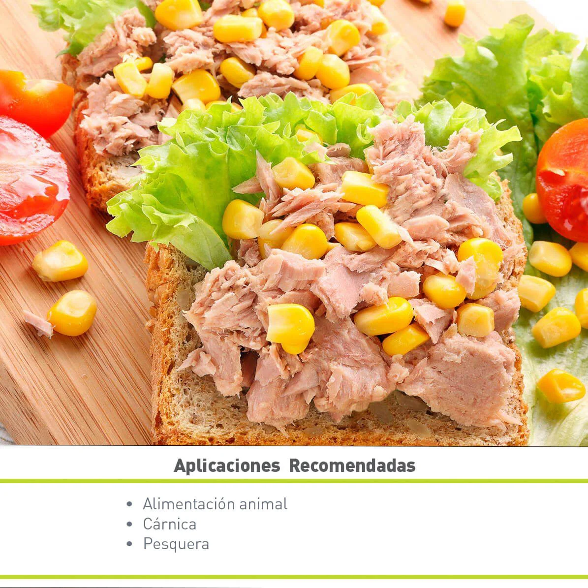 PROTEÍNA DE CERDO HIDROLIZADA VEPRO 75 PSC (25 KG)
