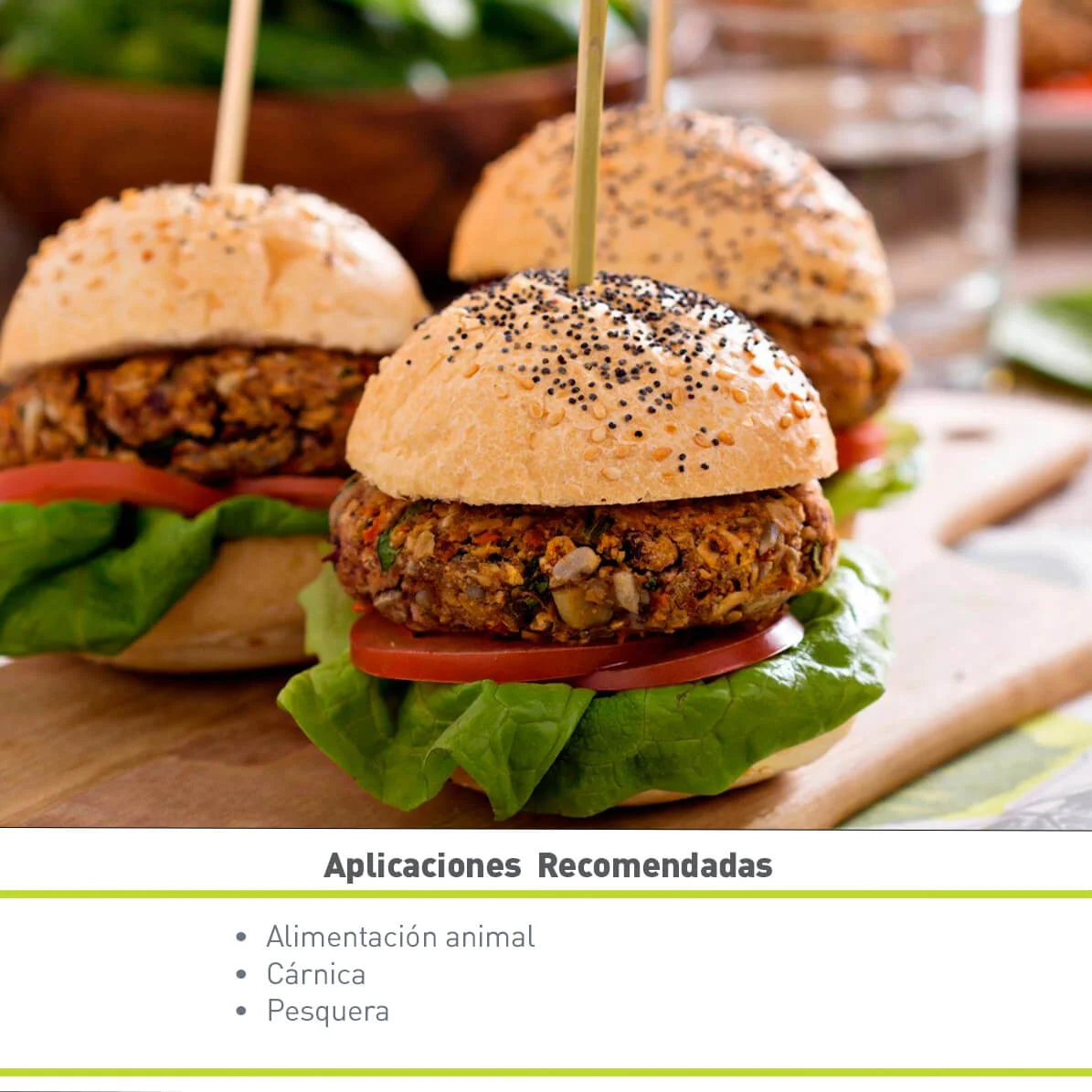 PROTEÍNA DE SOYA CONCENTRADA WILCON SJ (25 KG)