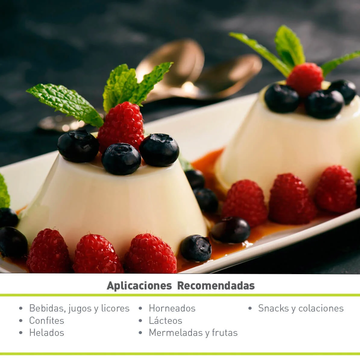 ESTEVIA STEVIOL GLYCOSIDES 95 GRANULADA SG95 (10 KG)