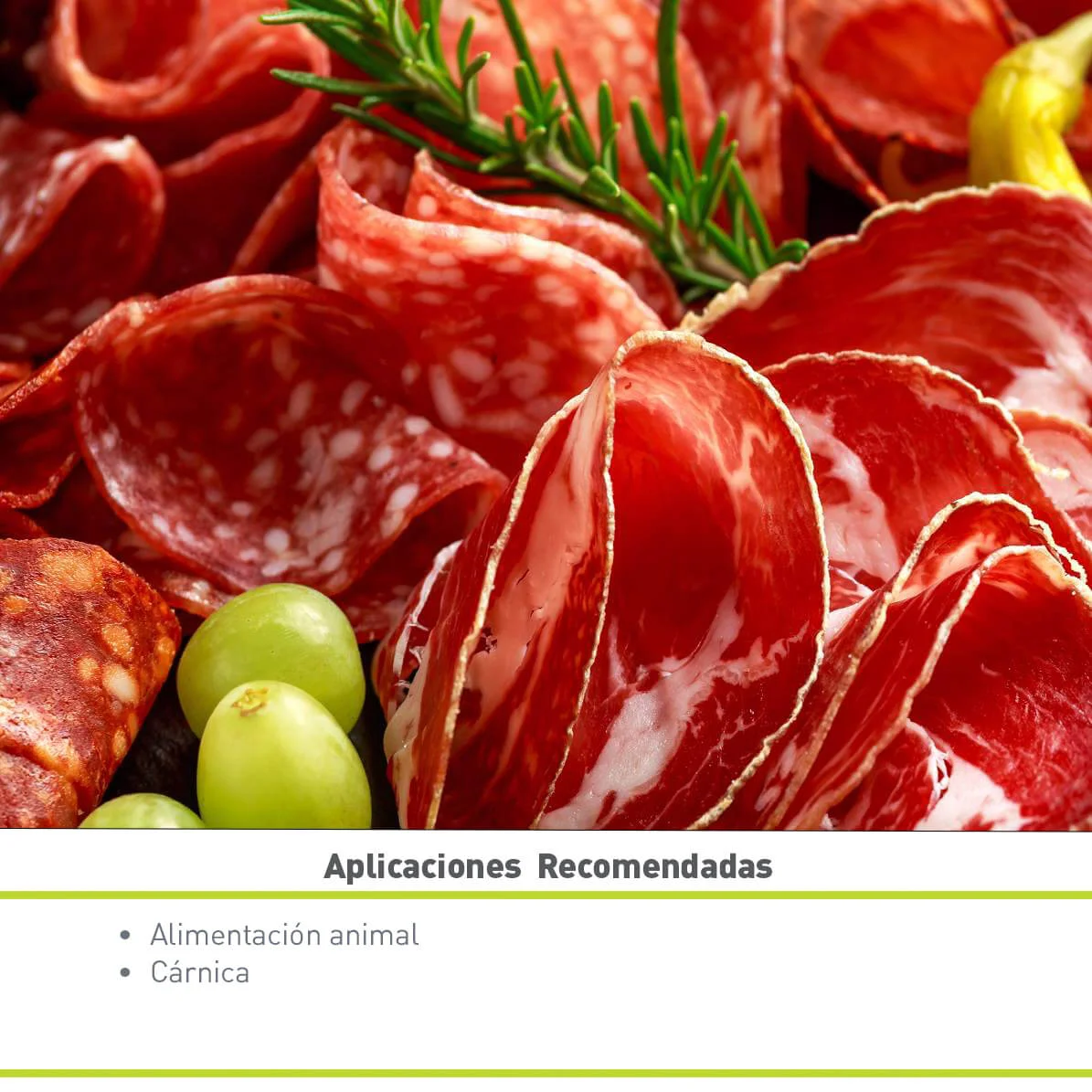 FIBRA DE COLÁGENO VACUNO (20KG)