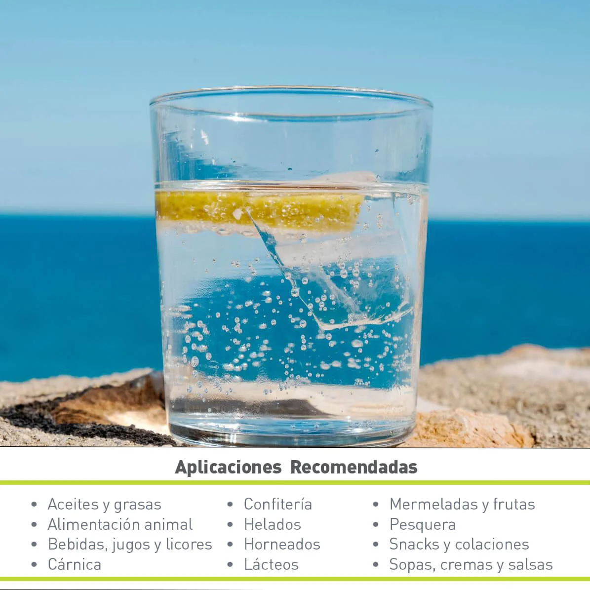 BENZOATO DE SODIO (25 KG)