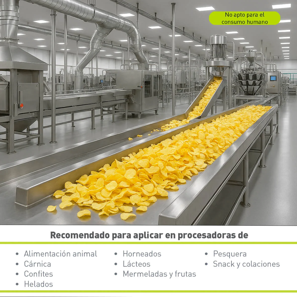 Detergente y/o Desengresantes Foam Chlor