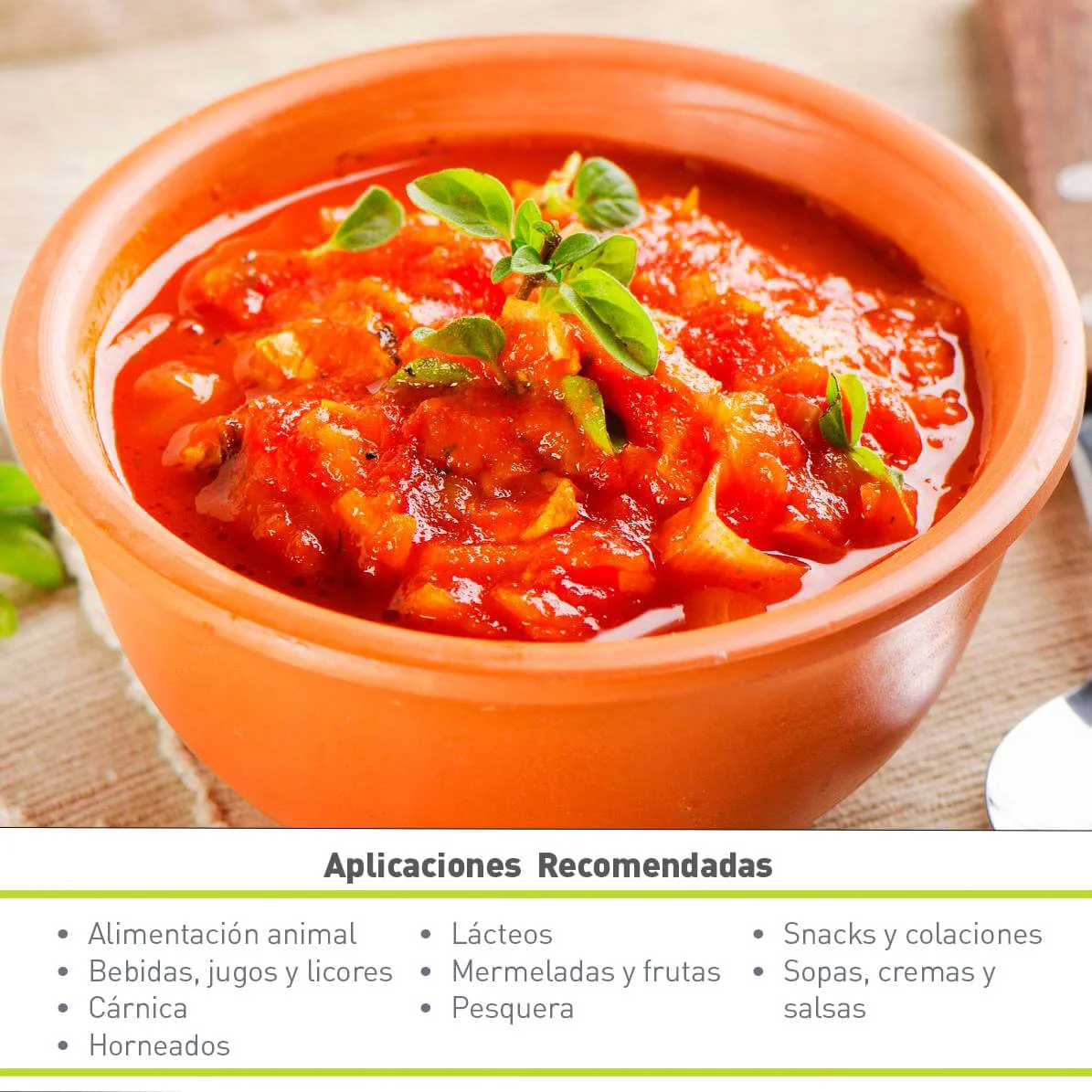 TOMATE EN POLVO SD (25 KG)