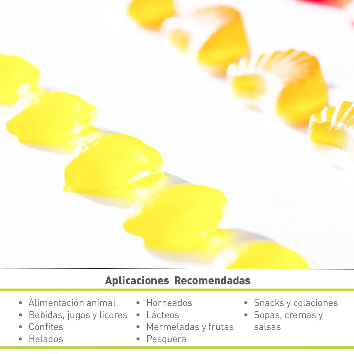 COLORANTE AMARILLO 5 TARTRAZINA (25 KG)