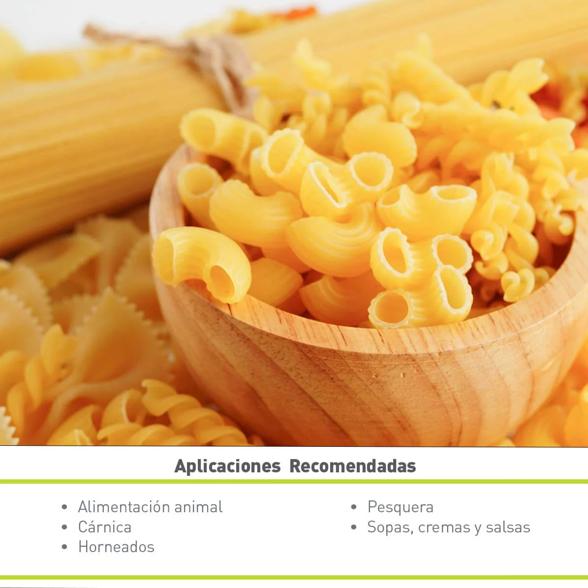 GLUTEN DE TRIGO (25 KG)