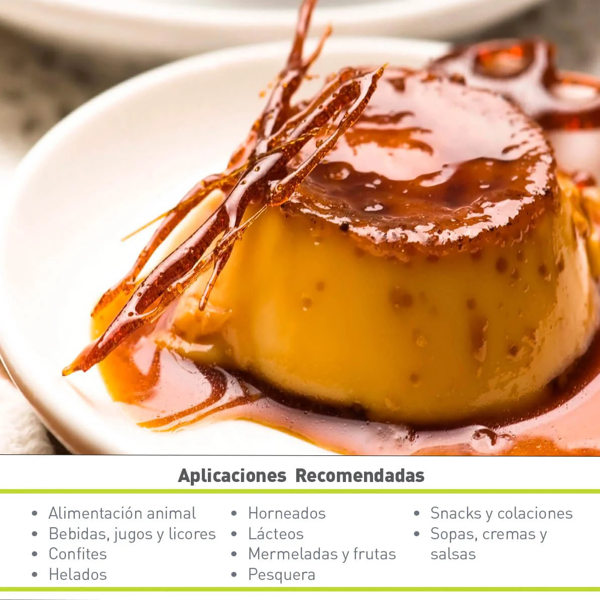 COLORANTE CARAMELO SUPER DARK 684 CLASE I (18.14 KG)