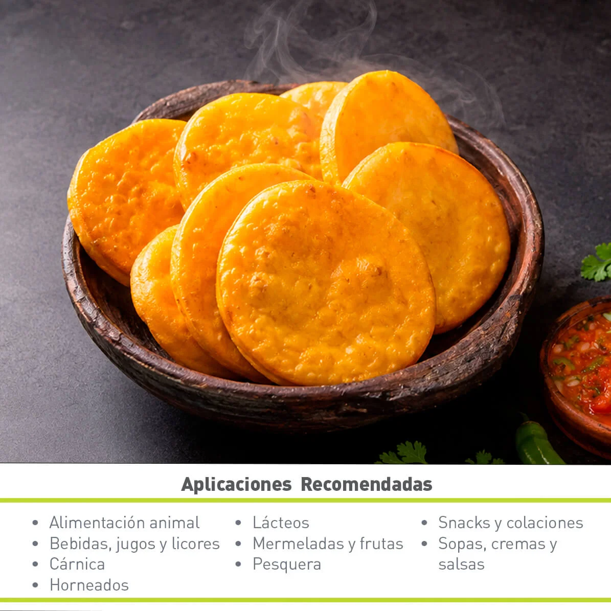 ZAPALLO EN POLVO - PUMPKIN POWDER (20 KG)