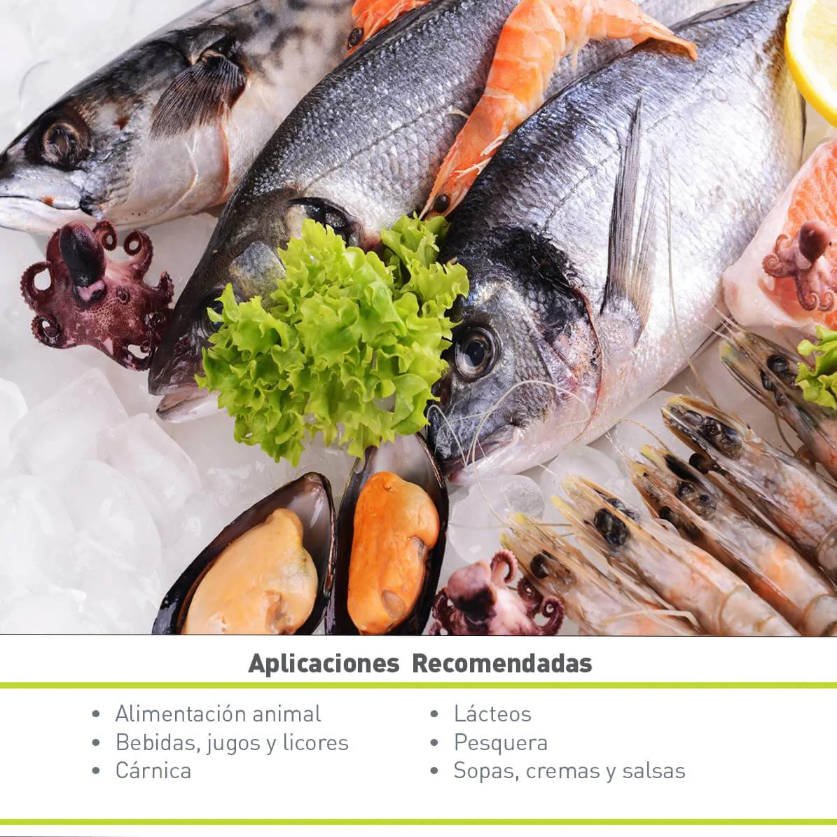 TRIPOLIFOSFATO DE SODIO ANHIDRO GRANULAR (25 KG)