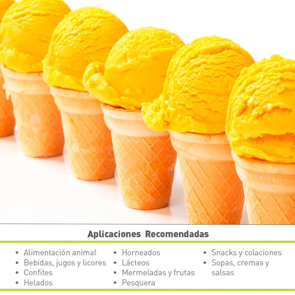 COLORANTE AMARILLO BL1273 LIQUIDO (20 KG)