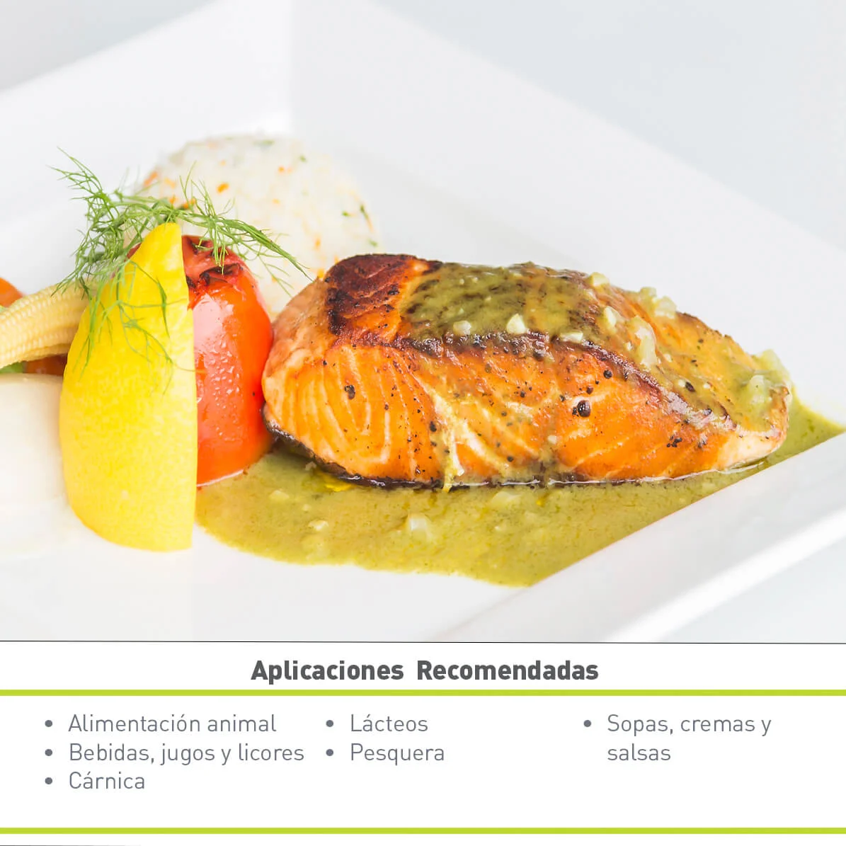 TRIPOLIFOSFATO DE SODIO EN POLVO (25 KG)