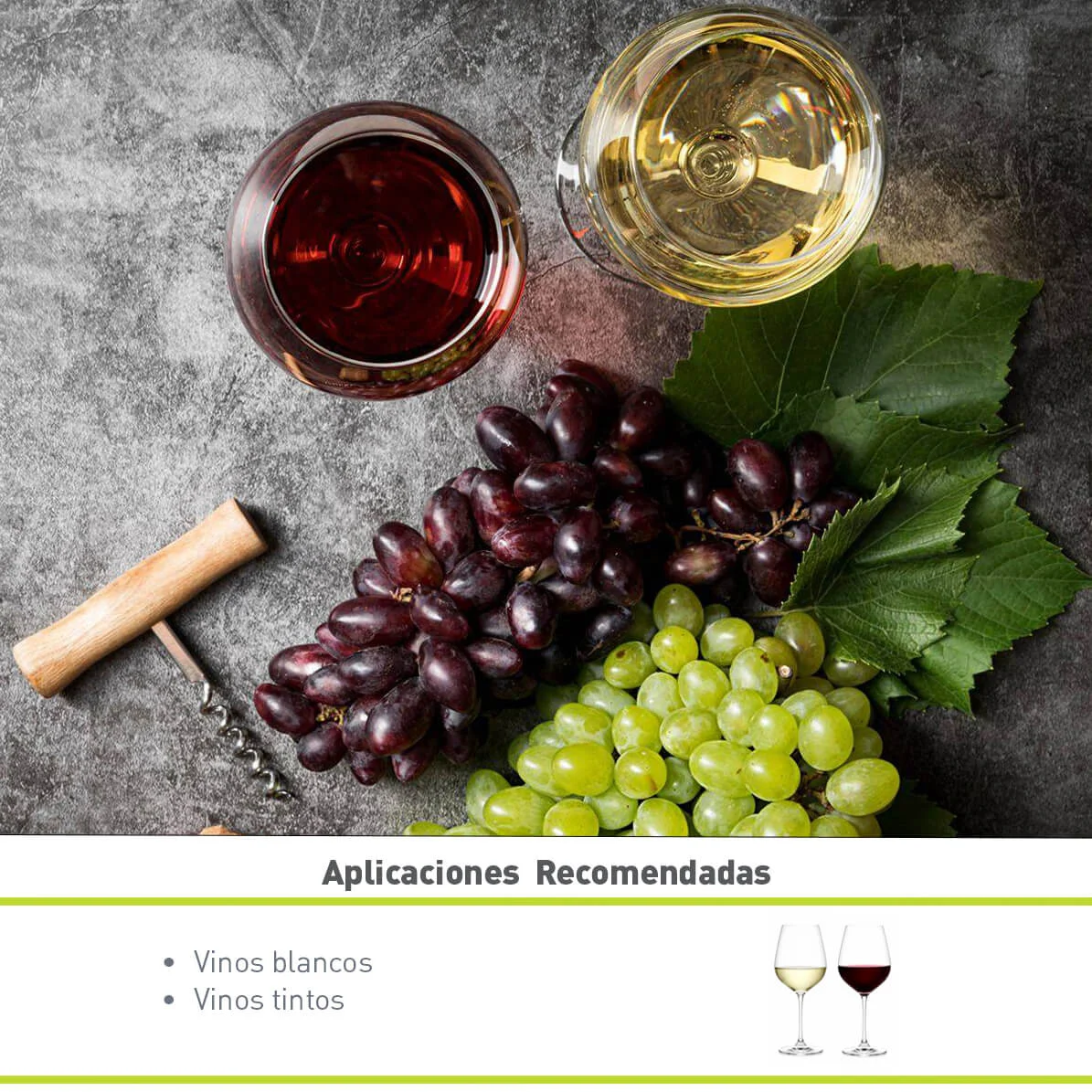 ENZIMA VINOTASTE PRO LAMOTHE ABIET (250 GR)
