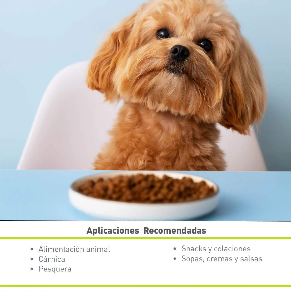 PROTEINA DE SOYA CRISPY WILNUG 985M 85% (10 KG)