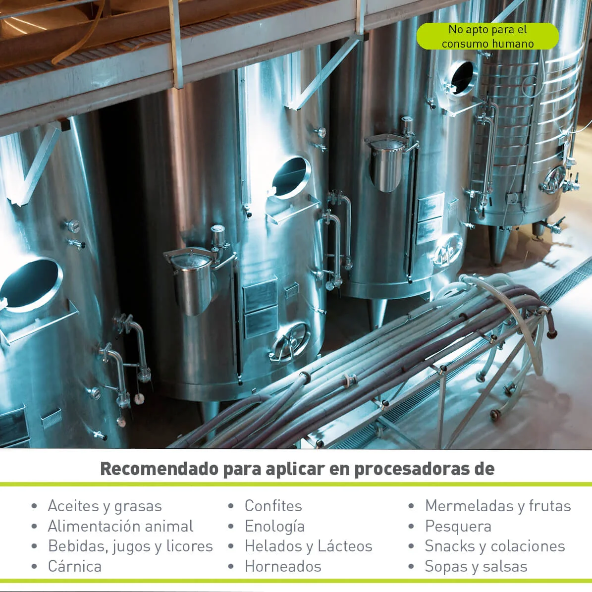 Desincrustante Acid N Plus