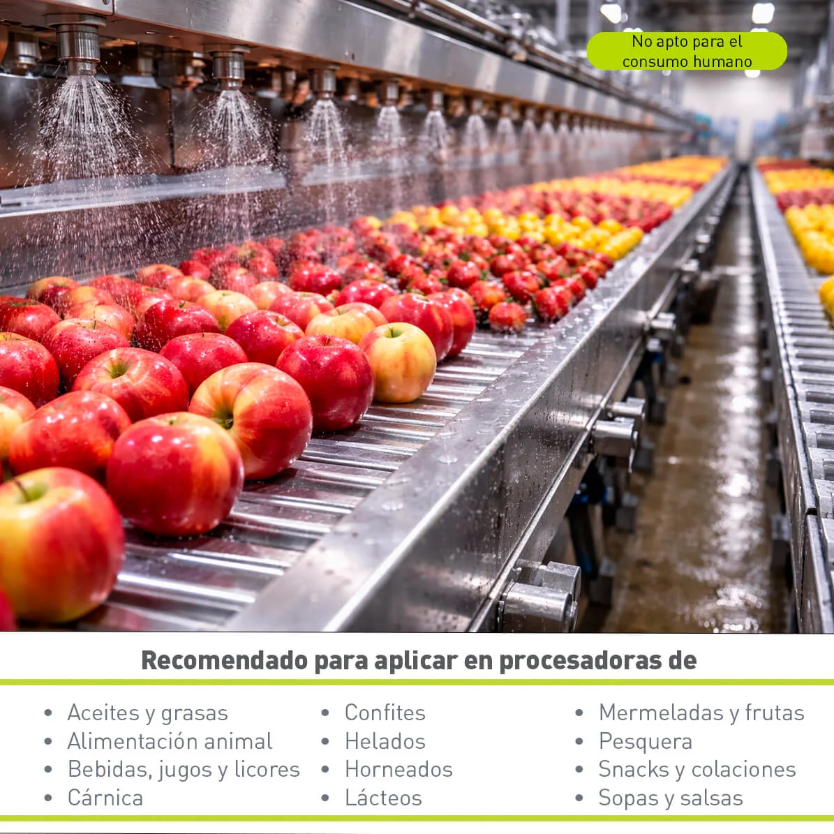 Limpiador Power Chem