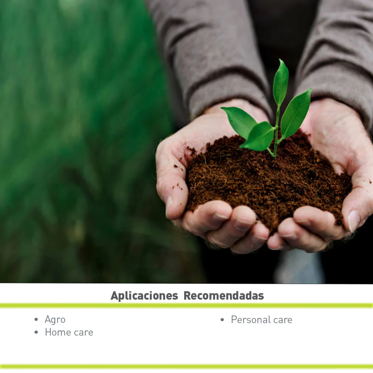 MONOETANOLAMINA - MEA (210 KG)