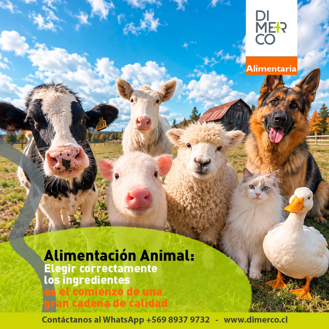 Publicación de Dimerco en redes sociales