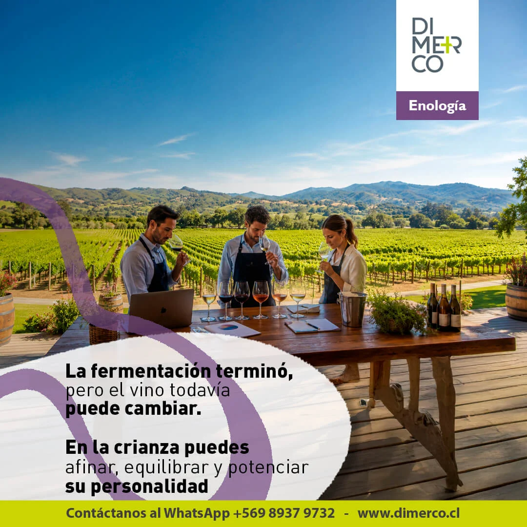 Publicación de Dimerco en redes sociales