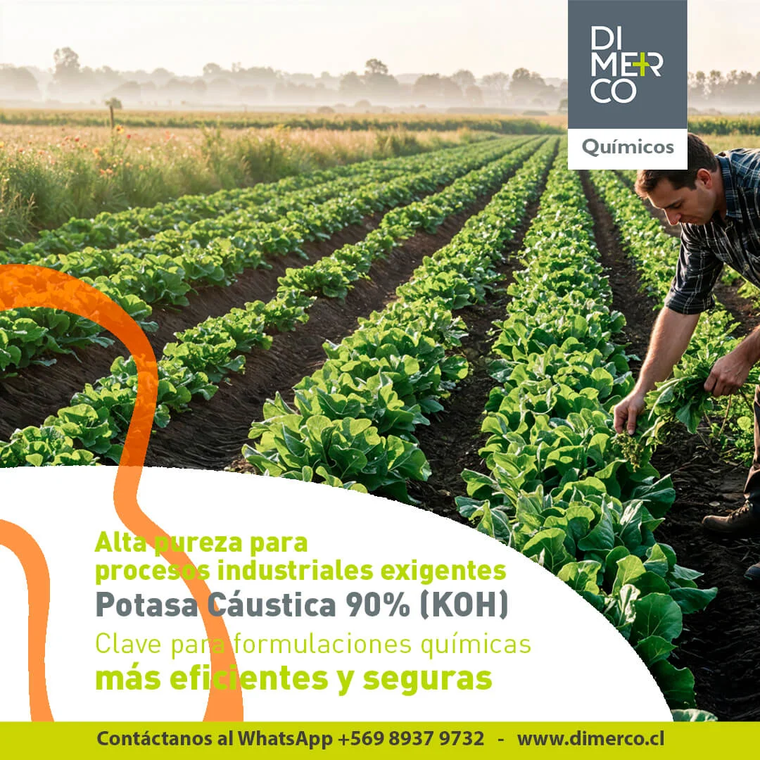 Publicación de Dimerco en redes sociales