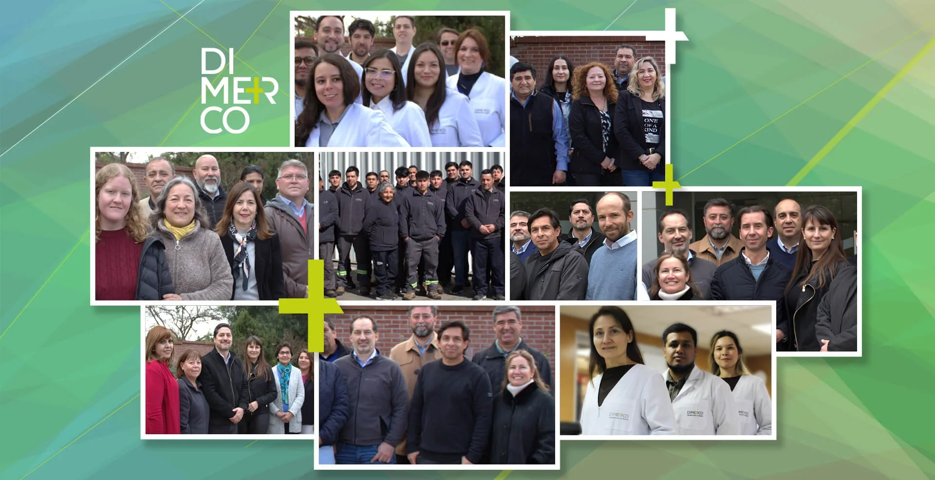 Equipo Humano de Excelencia